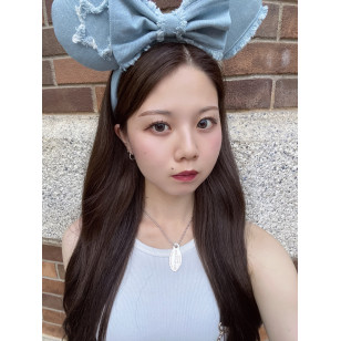 a-eye 1 Day 10 Magnetic Gray ワンデーリフレア エーアイ マグネティックグレー